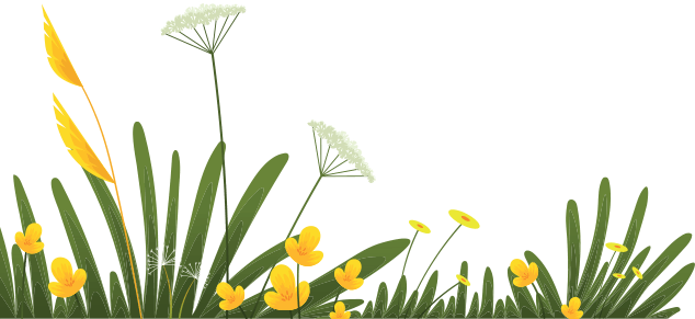Welcome Flowers
